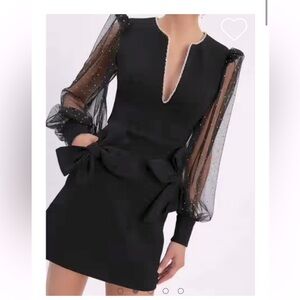 Elegant Black Dress with Sheer Sleeves